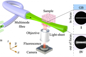 Published paper “Multimode fibre: Light-sheet microscopy at the tip of a needle”