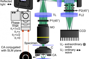 Published paper "Dual-polarization interference microscopy for advanced quantification of phase associated with the image field"