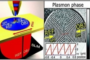 Published paper "Near-field digital holography: a tool for plasmon phase imaging"