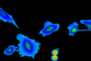 Personalized cancer treatment? The latest version of the holographic microscope will help CEITEC researchers.