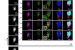 New paper by Dr. Zbyněk Dostál