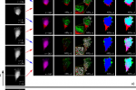 Introducing AID (Analytical Image Differencing)
