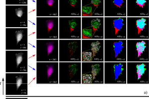 Introducing AID (Analytical Image Differencing)